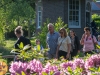 LDH-20250602-wandel4daagse-1258-HDTV-1080