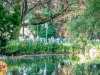 LDH-20250602-wandel4daagse-1287-HDTV-1080