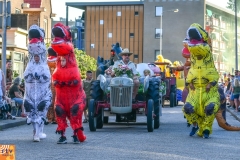 Meppel 3 aug. 2022: DMD optocht: toch een beetje carnaval van het Noorden  