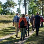 Woldwandeling: tekenen van de herfst