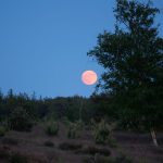 Loop naar de maan op het Aekingerzand