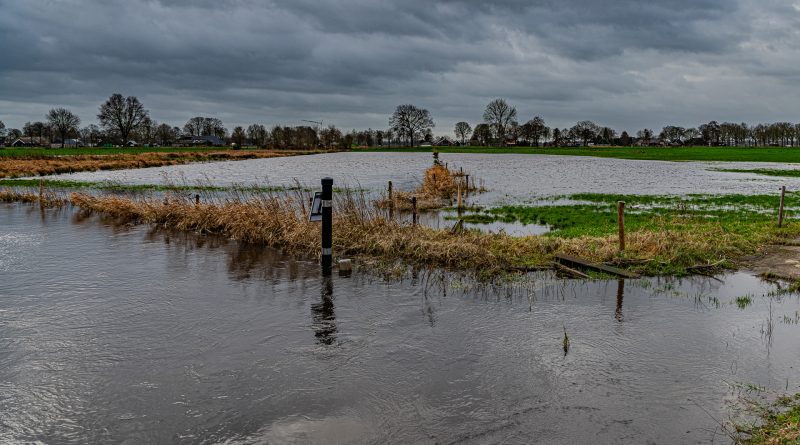 Vloeilanden Schiphorst, foto Leo de Harder