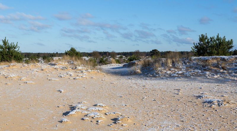 Winterwandeling Aekingerzand, foto Laura Csonka