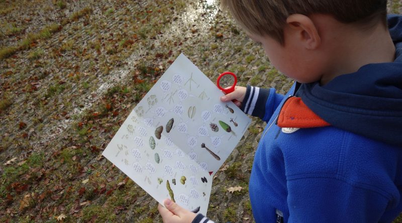 Wild op woensdag, foto Eva Hellinga