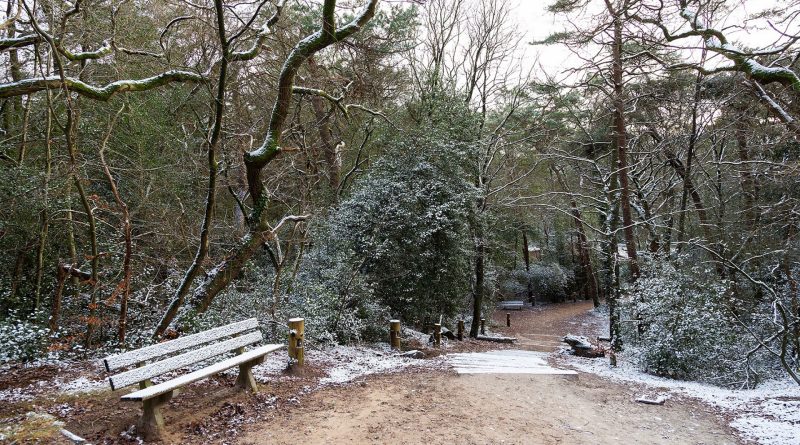 Winterwandeling Bosberg, foto Laura Csonka