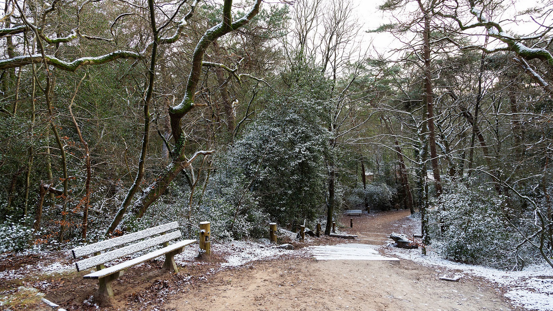 Winterwandeling Bosberg, foto Laura Csonka