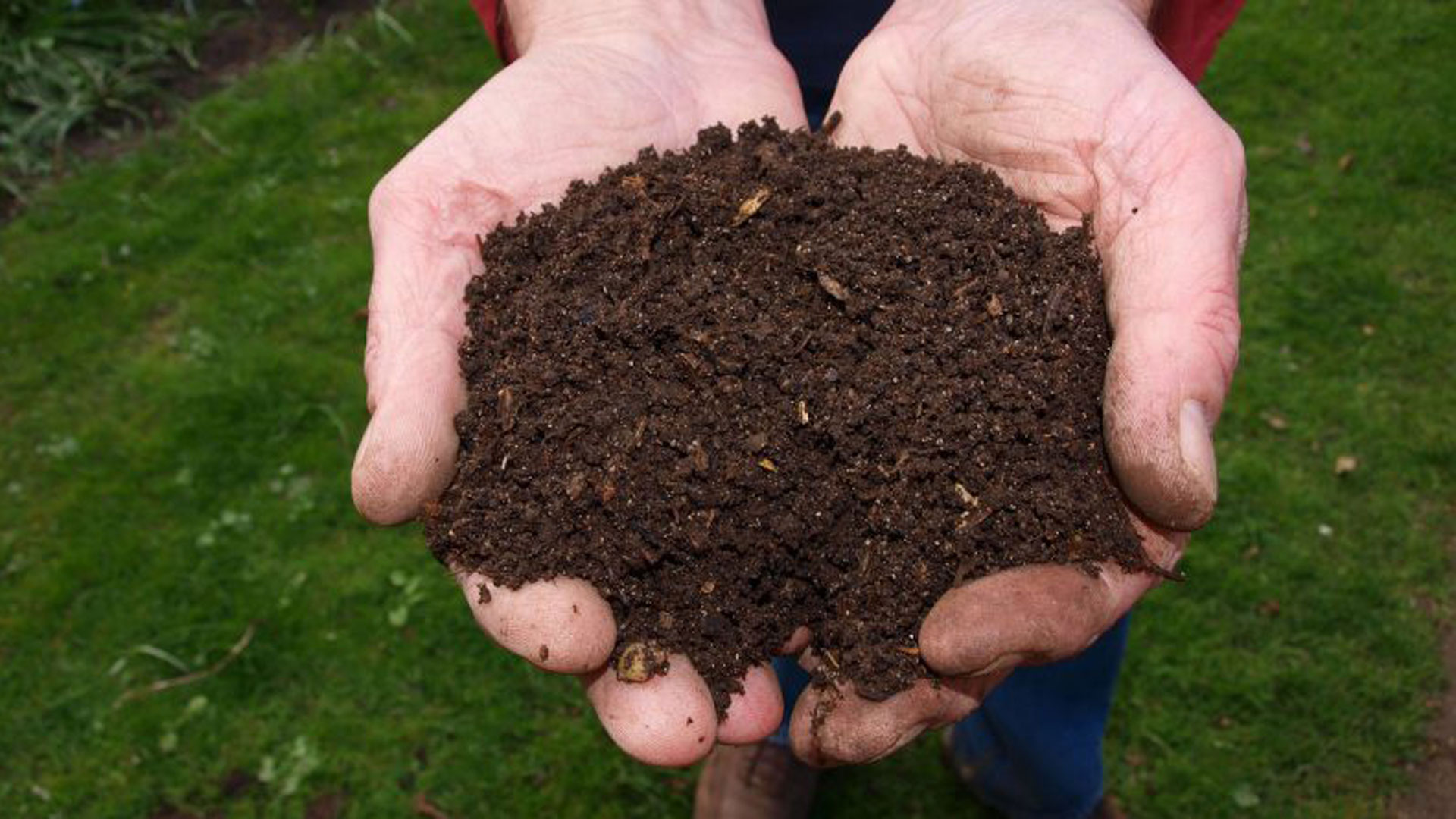 Compost, foto Pixabay