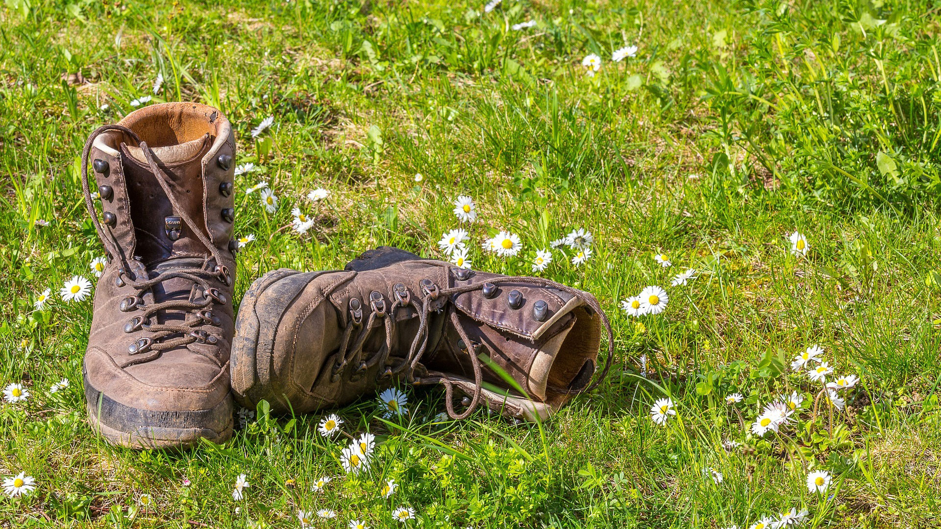 Wandelschoenen