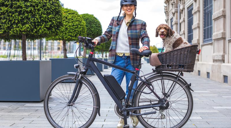 Opvoersetjes op elektrische fietsen worden verboden