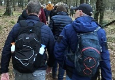 Wandeling langs bloemen en lupines in Punthorst