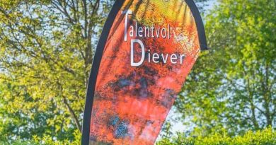 Kunstwandeling Diever van start in februari