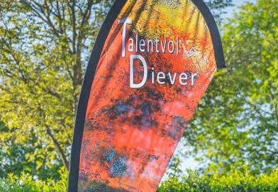 Kunstwandeling Diever van start in februari