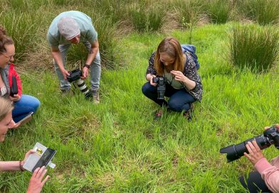Workshop fotografie laat beginners anders naar natuur kijken