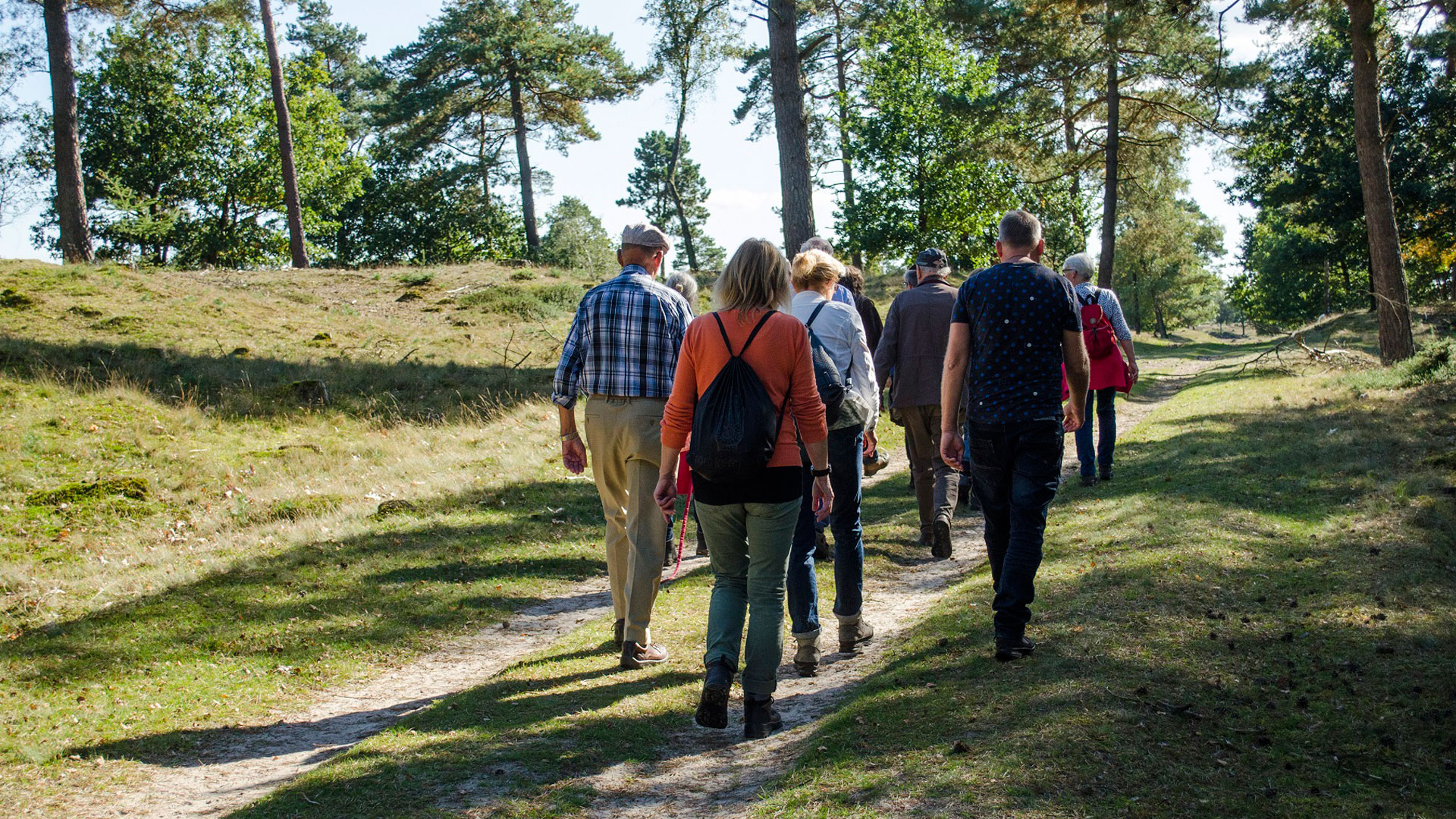 Seizoenswandeling Drents-Friese Wold, foto Staatsbosbeheer