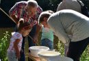 Waterbeestjes, foto Rindert Veltman