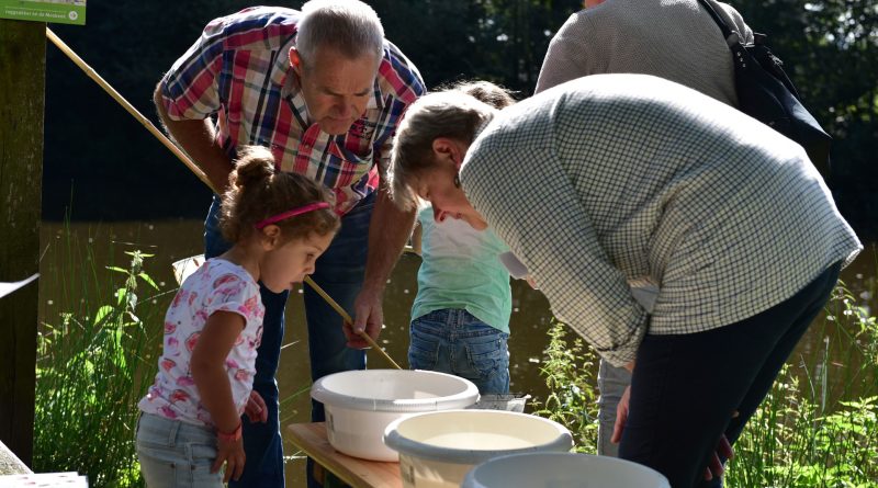 Waterbeestjes, foto Rindert Veltman