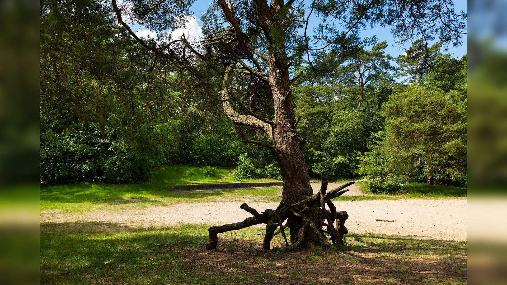 Bosbergwandeling, foto Laura Csonka