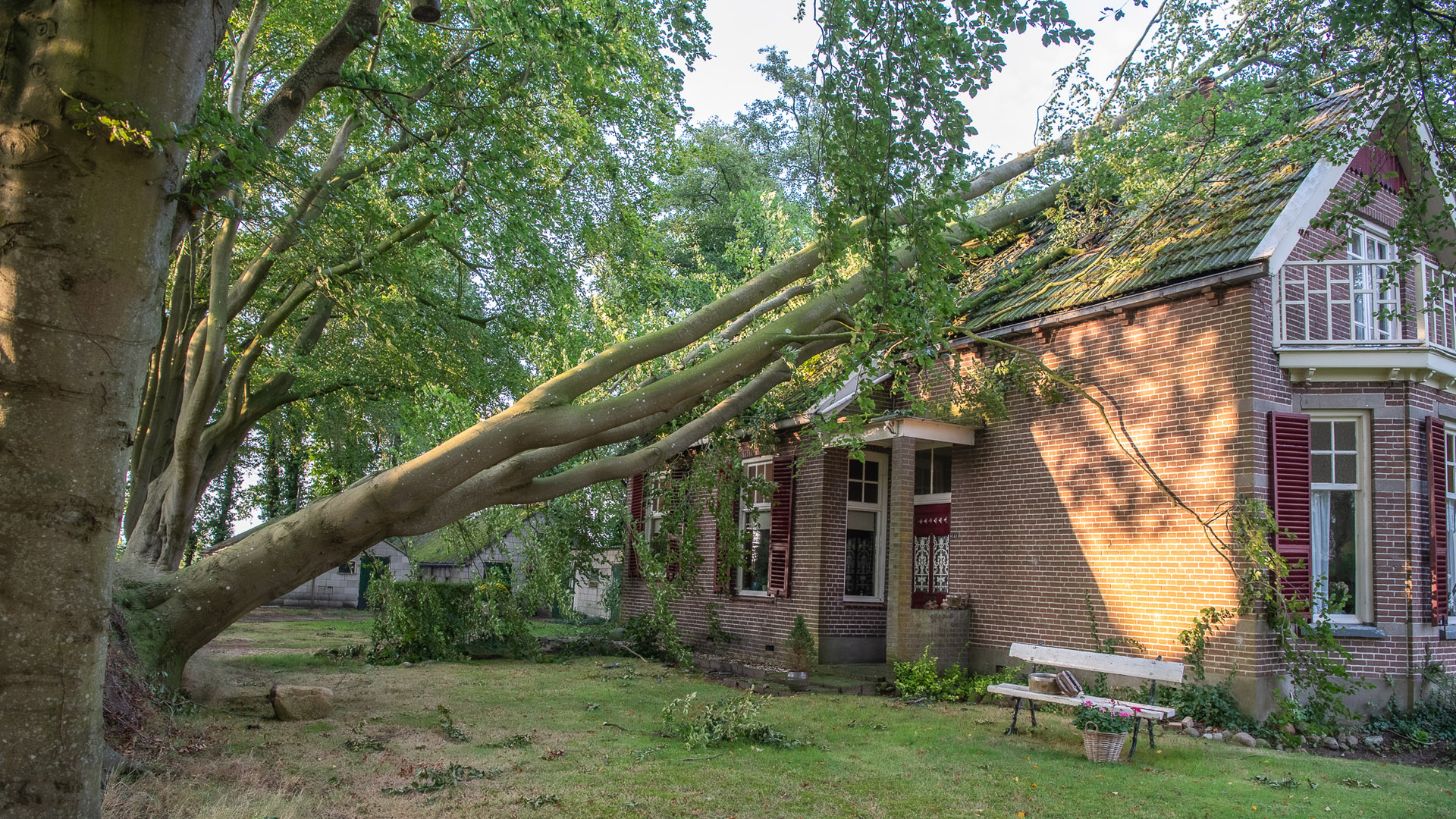 Stormschade Nijeveen augustus 2024, foto Leo de Harder