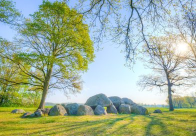 Miljoeneninvestering voor natuur in Drenthe: “Natuurgebieden voor de toekomst”
