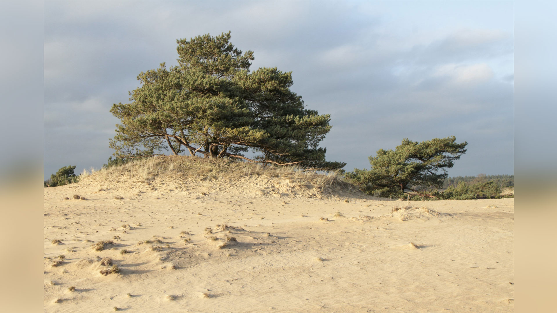 Aekingerzand, foto Albert Henckel