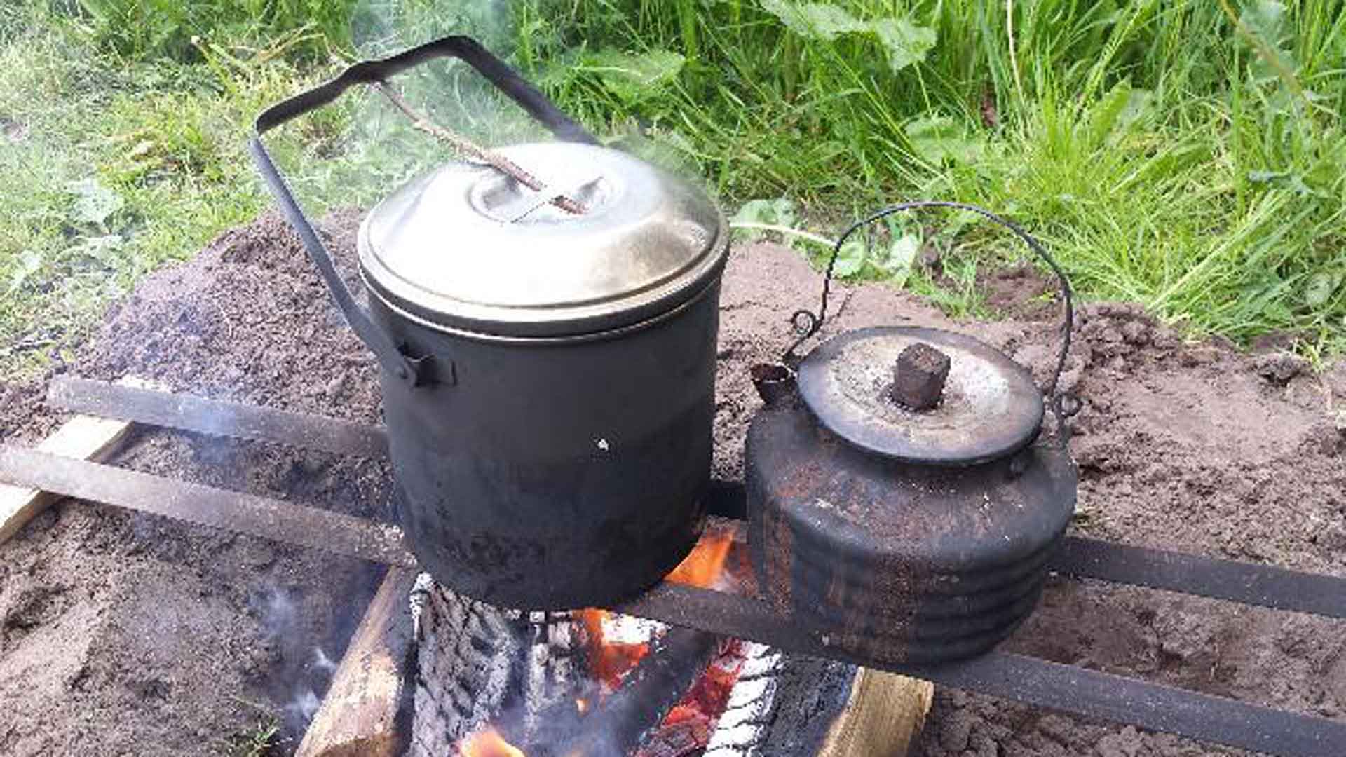 Koken met wilde planten, In het Wilde Weg