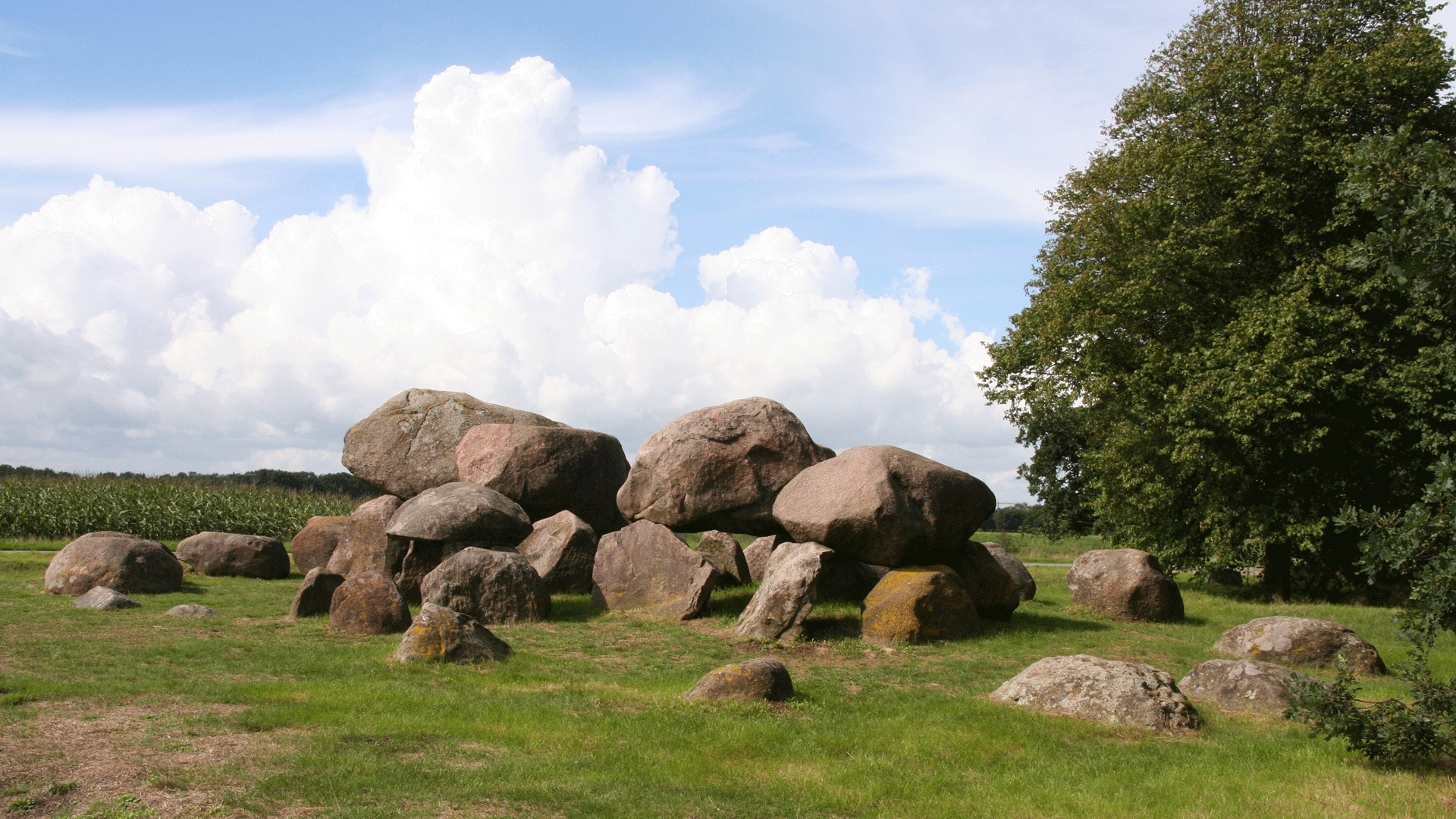 Hunebed Loon, foto aangeleverd André Brasse IVN Drenthe