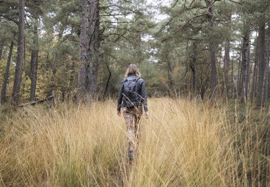Winterse boswandeling, foto Marco van de Burgwal