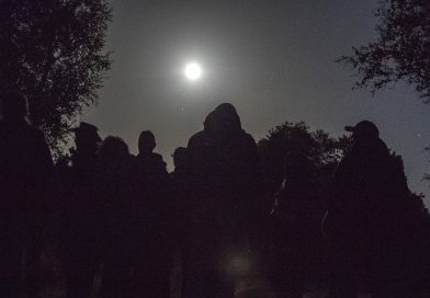 Vollemaanwandeling in Drents-Friese Wold