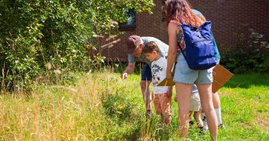 Insectensafari in het Drents-Friese Wold