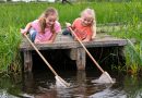 Van alles te beleven in De Wieden in de zomervakantie