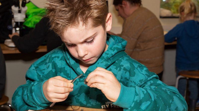 Braakballen pluizen voor jonge onderzoekers