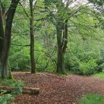 Jaarvergadering Natuurbeschermingsvereniging