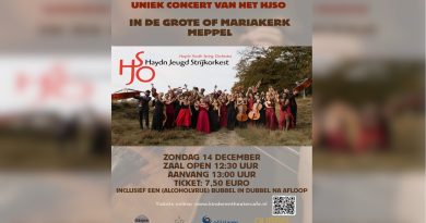 Haydn Jeugd Strijkorkest in de Grote Kerk