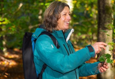 Winters wildplukken in het Drents-Friese Wold