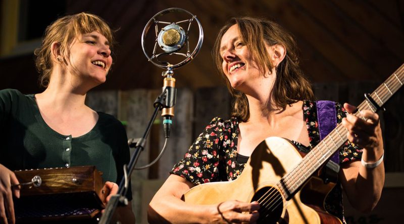 Ierse en Schotse folkmuziek bij Bibliotheek Diever