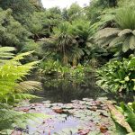 Lezing Kriskras door Engeland