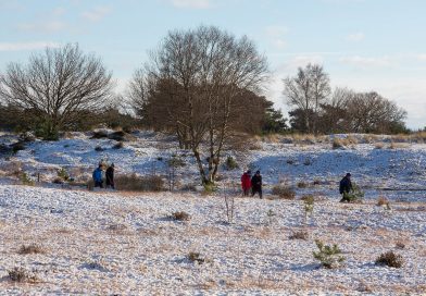 Winterwandeling onthult verborgen kleuren in Drents-Friese Wold
