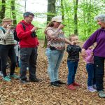 Bossafari Drents-Friese Wold