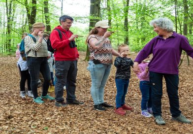 Bossafari Drents-Friese Wold