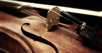 Valentijnsconcert in Dorpskerk Wapserveen