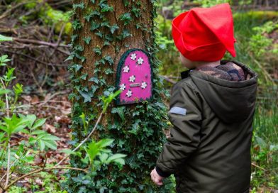 Kabouterfeest in het Drents-Friese Wold