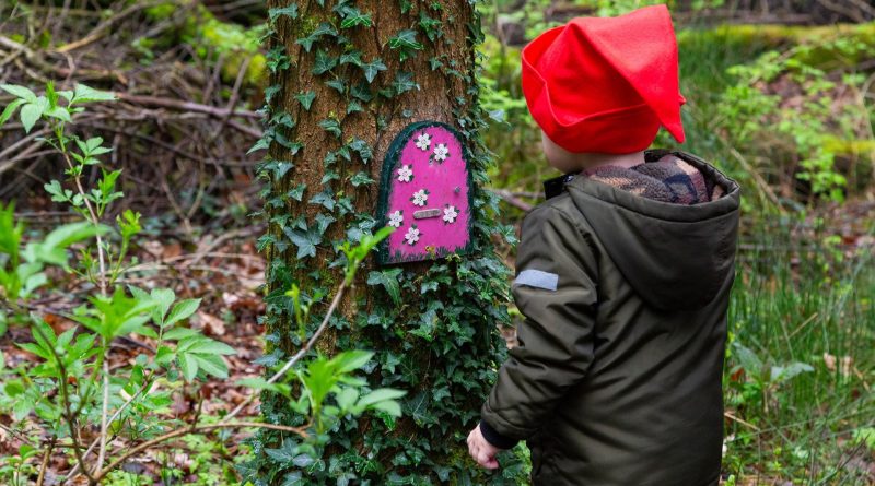 Kabouterfeest in het Drents-Friese Wold