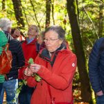 Wildplukwandeling viert begin van de lente