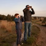 Vroege vogelwandeling in Drents-Friese Wold