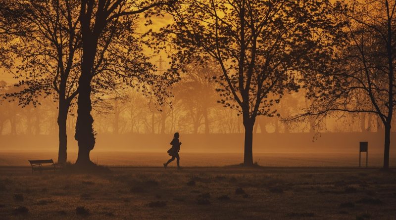 Jumbo Run 2026 komt zaterdagnacht door Meppel