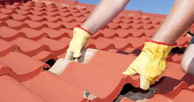 Zo pak je een dakrenovatie in Meppel slim aan