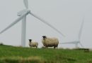 Gemeente De Wolden start met de volgende fase van de verkenning naar windenergie in Ruinerwold Noord. Kenmerkend voor deze fase is de grote rol van de omgeving: het bewonersplatform en de gebiedstafel hebben samen een onderzoeksopzet opgesteld en geven daarmee richting aan het vervolg. (Foto Pixabay)
