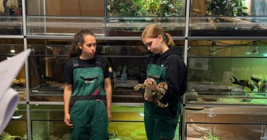 Studenten uit heel Europa strijden in Meppel tijdens Animal Care Competition: “Zelfde passie”
