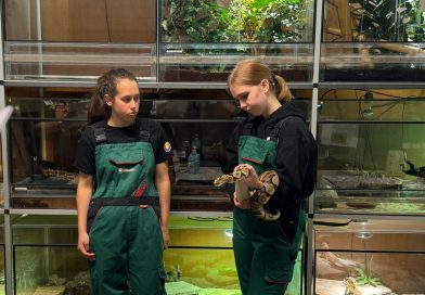 Studenten uit heel Europa strijden in Meppel tijdens Animal Care Competition: “Zelfde passie”
