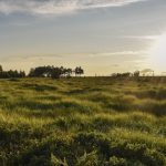 Lezing over veengrond in Staphorst